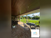 Ma-Cabane - Vente Maison SAINTE-MARIE, 350 m²