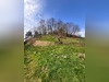 Ma-Cabane - Vente Maison Sainte-Marie-aux-Mines, 176 m²