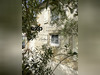Ma-Cabane - Vente Maison Sainte-Soulle, 265 m²