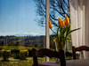 Ma-Cabane - Vente Maison SALIES DE BEARN, 200 m²