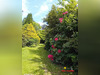 Ma-Cabane - Vente Maison Salies-de-Béarn, 500 m²