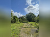 Ma-Cabane - Vente Maison Salies-de-Béarn, 260 m²