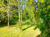 Ma-Cabane - Vente Maison SAN NICOLAO, 148 m²