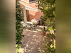Ma-Cabane - Vente Maison Sanary-sur-Mer, 85 m²