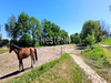 Ma-Cabane - Vente Maison SANDILLON, 250 m²