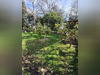 Ma-Cabane - Vente Maison Santa-Lucia-di-Moriani, 217 m²