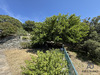 Ma-Cabane - Vente Maison Santa-Maria-di-Lota, 266 m²