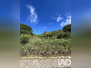 Ma-Cabane - Vente Maison Saou, 184 m²