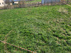 Ma-Cabane - Vente Maison SARDIEU, 60 m²