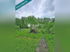 Ma-Cabane - Vente Maison Sarreguemines, 71 m²