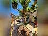 Ma-Cabane - Vente Maison Sartene, 207 m²