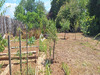 Ma-Cabane - Vente Maison Saujon, 185 m²