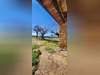 Ma-Cabane - Vente Maison Savasse, 90 m²