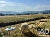 Ma-Cabane - Vente Maison Savasse, 156 m²