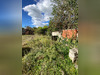 Ma-Cabane - Vente Maison Savigny-en-Septaine, 130 m²