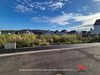 Ma-Cabane - Vente Maison SCHWINDRATZHEIM, 500 m²