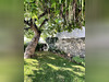 Ma-Cabane - Vente Maison SCIEZ, 107 m²