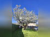 Ma-Cabane - Vente Maison Scionzier, 135 m²