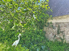 Ma-Cabane - Vente Maison SEICHES-SUR-LE-LOIR, 229 m²