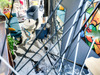 Ma-Cabane - Vente Maison SEIGNOSSE, 81 m²