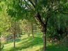 Ma-Cabane - Vente Maison SELLES-SUR-CHER, 153 m²