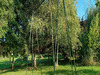 Ma-Cabane - Vente Maison SELLES-SUR-CHER, 153 m²