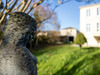 Ma-Cabane - Vente Maison Semillac, 350 m²