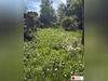 Ma-Cabane - Vente Maison Semur-en-Auxois, 82 m²