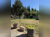 Ma-Cabane - Vente Maison SENAS, 94 m²