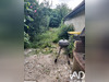Ma-Cabane - Vente Maison Sens, 83 m²