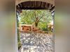 Ma-Cabane - Vente Maison Séranon, 43 m²