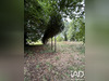 Ma-Cabane - Vente Maison Sermaize-les-Bains, 319 m²