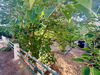 Ma-Cabane - Vente Maison SETE, 79 m²
