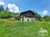 Ma-Cabane - Vente Maison Seytroux, 318 m²