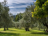 Ma-Cabane - Vente Maison SISTERON, 311 m²