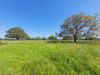Ma-Cabane - Vente Maison Solre-le-Château, 160 m²