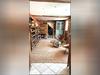 Ma-Cabane - Vente Maison SOULIGNONNE, 262 m²