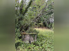 Ma-Cabane - Vente Maison SOUSSAC, 630 m²