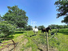Ma-Cabane - Vente Maison SURZUR, 188 m²