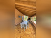 Ma-Cabane - Vente Maison SUSSARGUES, 170 m²