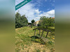 Ma-Cabane - Vente Maison Tallud-Sainte-Gemme, 104 m²