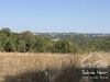 Ma-Cabane - Vente Maison Tanus, 200 m²