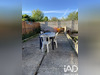 Ma-Cabane - Vente Maison Tergnier, 86 m²