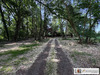 Ma-Cabane - Vente Maison Terjat, 96 m²