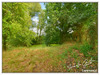 Ma-Cabane - Vente Maison TOUCHAY, 118 m²
