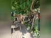 Ma-Cabane - Vente Maison Toulon, 45 m²