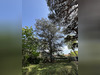 Ma-Cabane - Vente Maison Toulouse, 273 m²