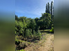 Ma-Cabane - Vente Maison TOURNUS, 147 m²