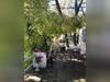 Ma-Cabane - Vente Maison Tourves, 80 m²