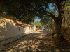 Ma-Cabane - Vente Maison Trans-en-Provence, 148 m²